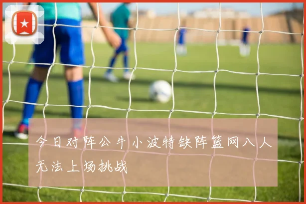今日对阵公牛小波特缺阵篮网八人无法上场挑战