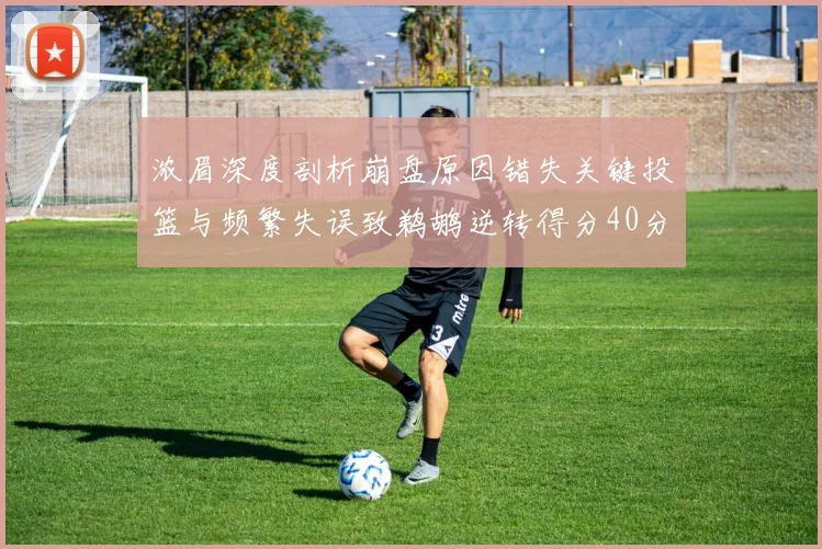 浓眉深度剖析崩盘原因错失关键投篮与频繁失误致鹈鹕逆转得分40分