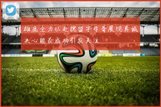 雄鹿全力以赴挽留字母哥展现真诚决心能否成功引发关注