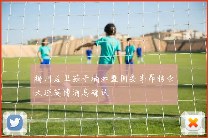 梅州后卫茹子楠加盟国安李昂转会大连英博消息确认